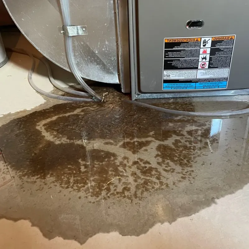 Pipe Burst and Leak Restoration in New Concord, OH