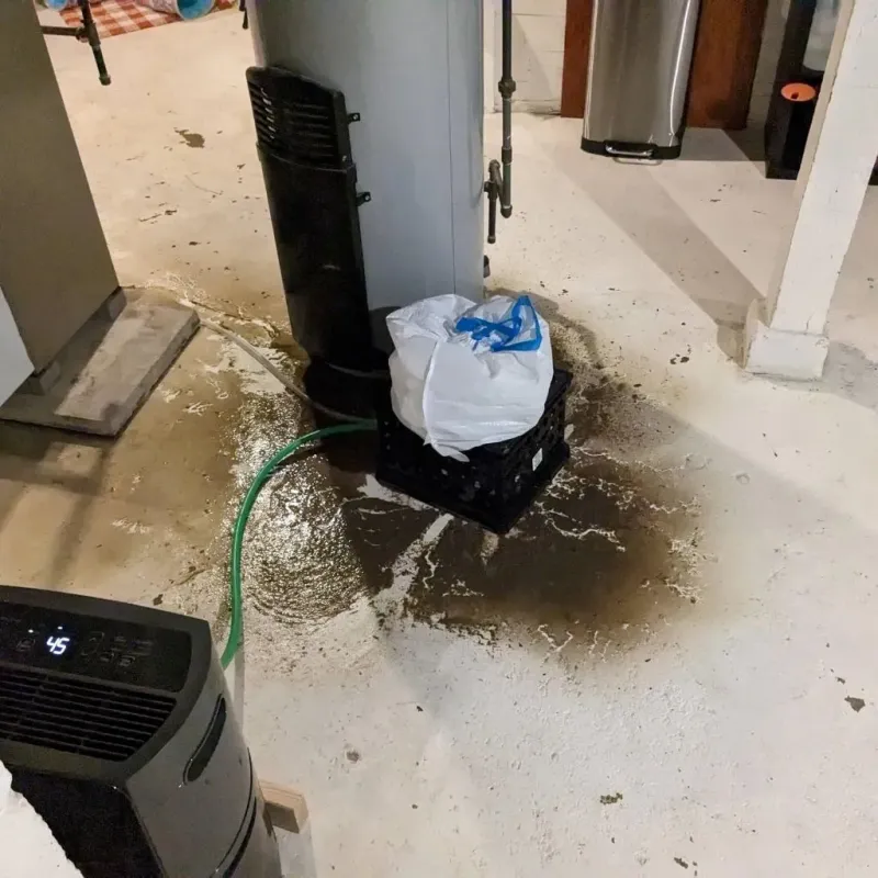 Sewage Backup Cleanup Service in New Concord, OH